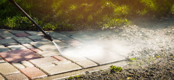 Best Concrete Sealing  in Rockwood, TN